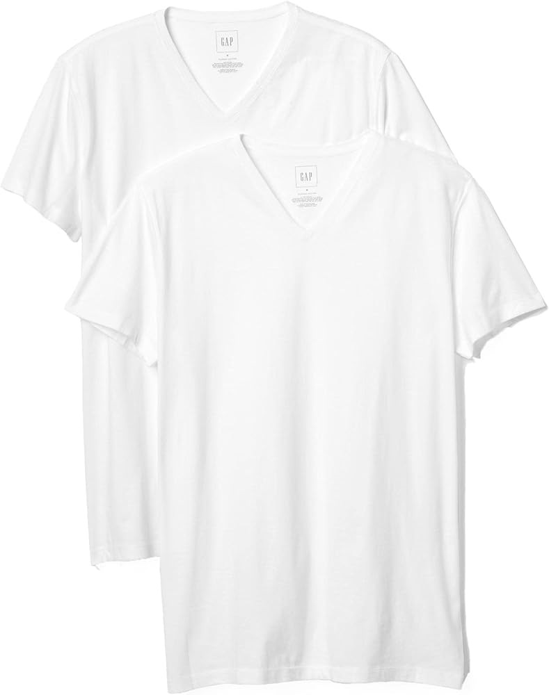 GAP Men's 2-Pack V-Neck Tee T-Shirt