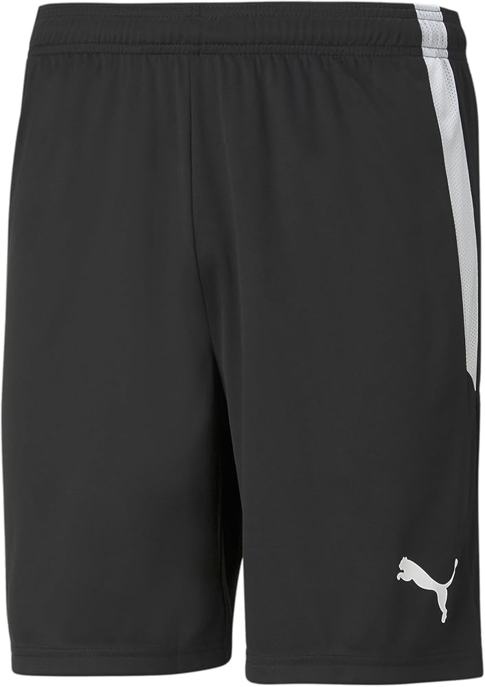 PUMA Men's Teamliga Shorts