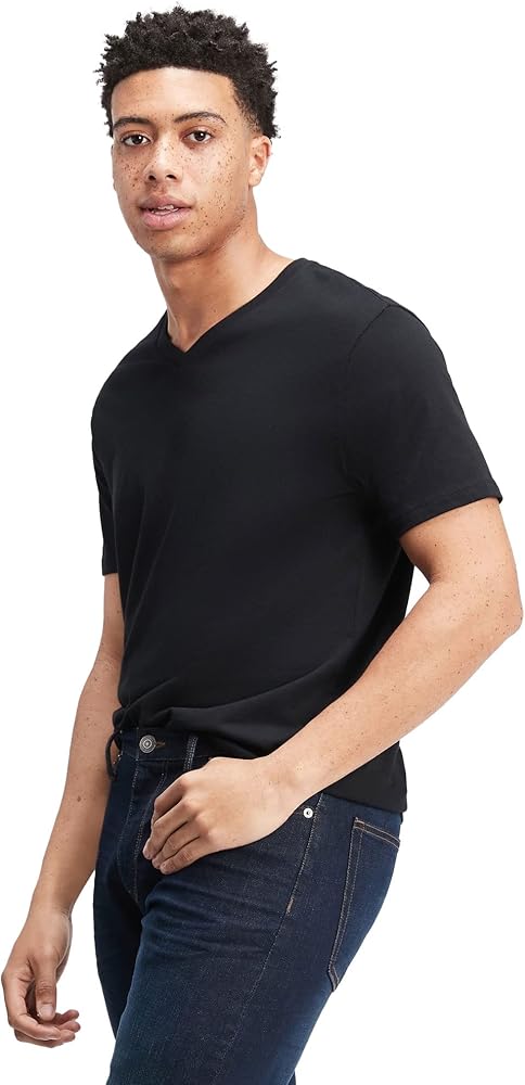 GAP Men's Short Sleeve V-neck Tee T-shirt