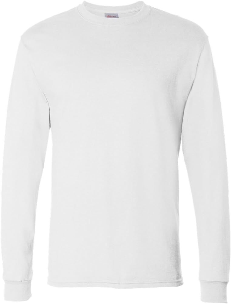 Hanes Men's Essentials Long-Sleeve T-Shirt, Crewneck Cotton T-Shirts for Men, 2-Pack