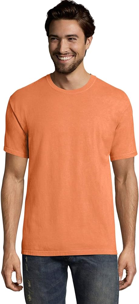 Hanes mens Gdh100