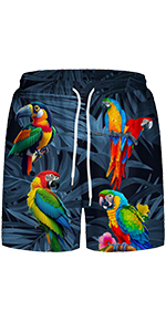 Tropical Hawaii Beach Shorts