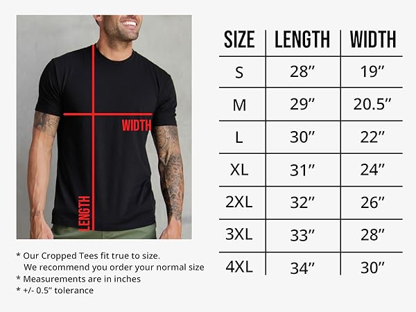 INTO THE AM Essential Crew Neck Slim Fit Casual T Shirts for Men size chart