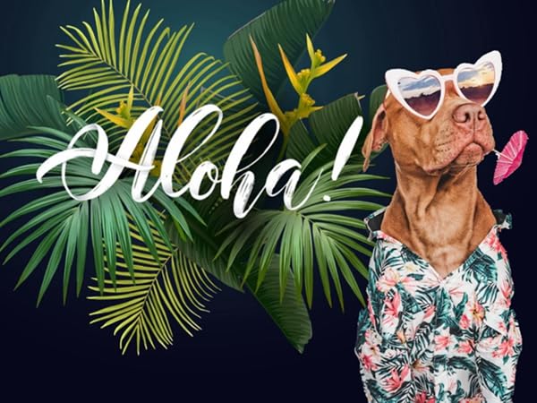 aloha