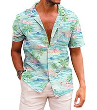 mens summer shirt