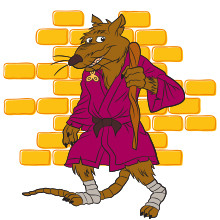 Splinter