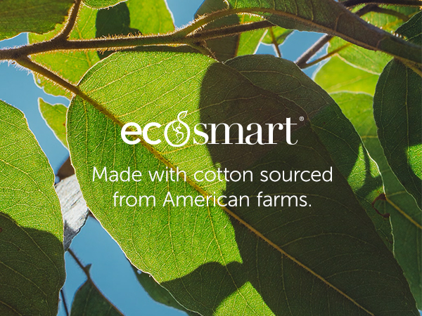 ecosmart