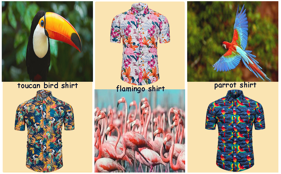 bird shirt