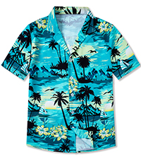 hawaiian shirt