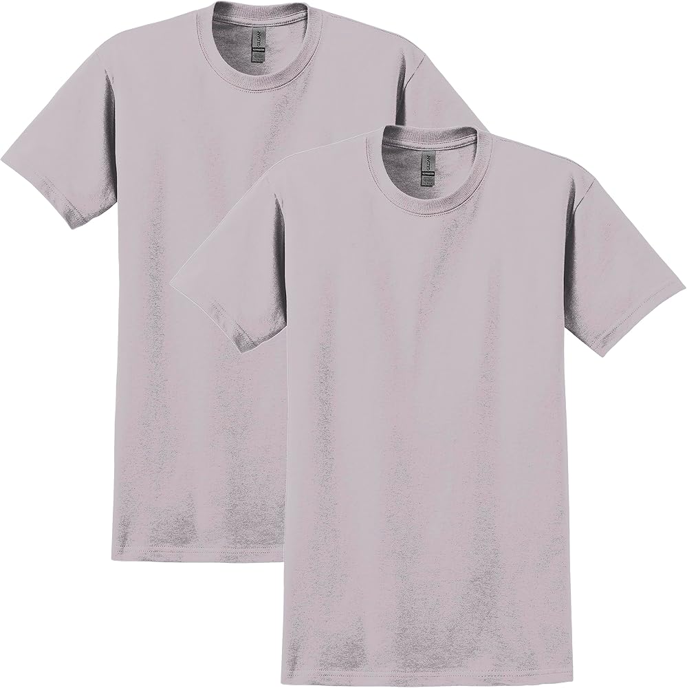 Gildan Ultra Cotton Tshirt, Style G2000 2-Pack, Ice Grey (2-pack)