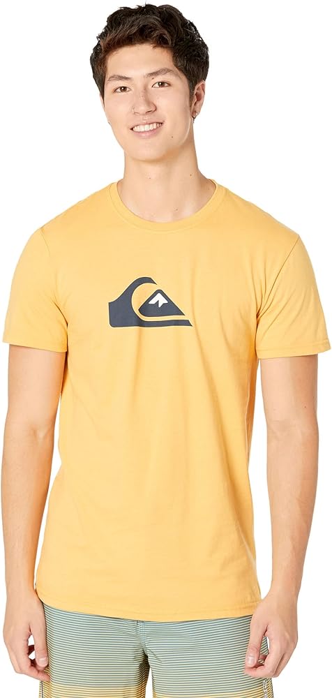 Quiksilver Men's Comp Logo Tee Shirt