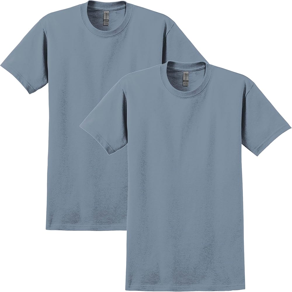 Gildan Ultra Cotton Tshirt, Style G2000 2-Pack, Stone Blue (2-pack)