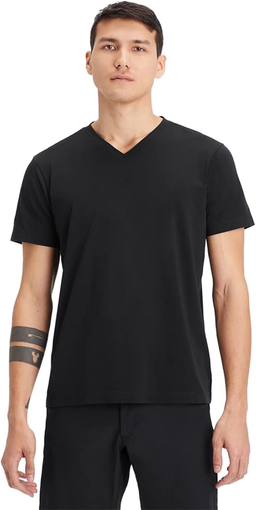 Fabletics Men's The 24-7 V Neck Tee, Hybrid365 Fabric, Breathable, Sweat Wicking, Anti-Stink, 4-Way Stretch, Lightweight