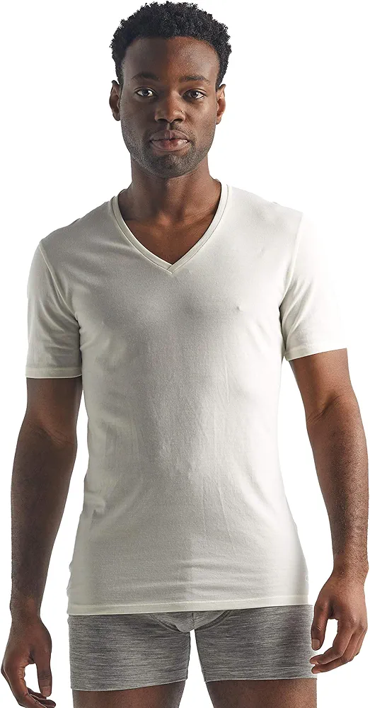 Icebreaker Merino Men's Anatomica Short Sleeve V-Neck T-Shirt