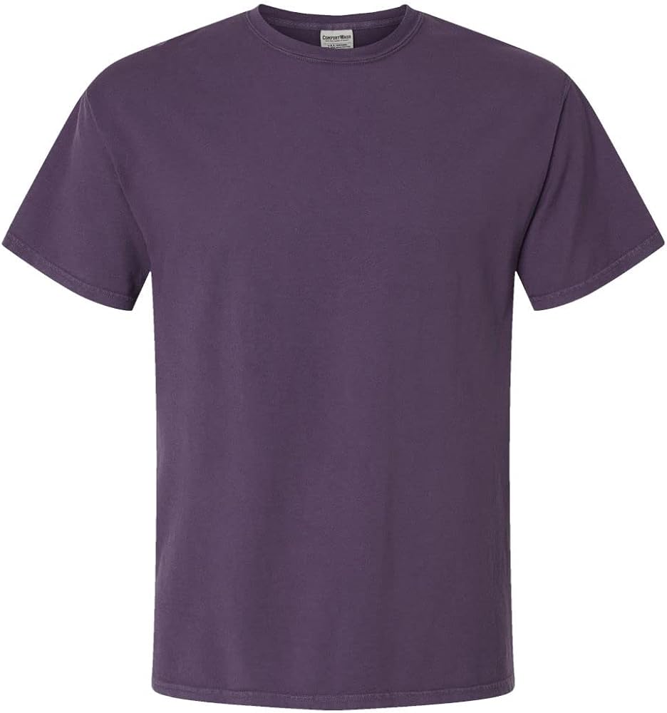 Hanes Mens Garment-Dyed T-Shirt, L, Grape Soda