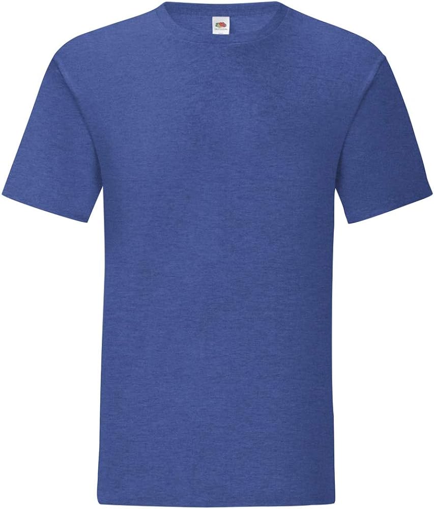 Fruit of the Loom Mens Iconic T-Shirt (3XL) (Heather Royal)