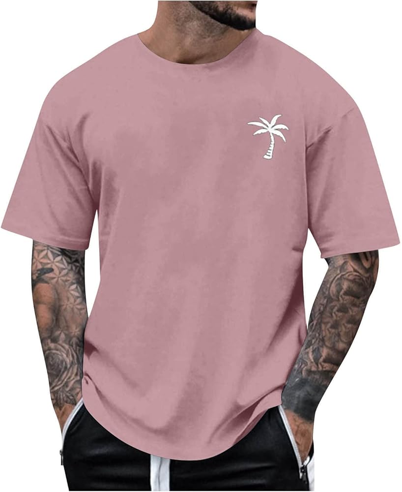 Tshirt for Men Casual Short Sleeve O Neck Summer Athletic Classic Fit Tees Fashion True Comfort Tops