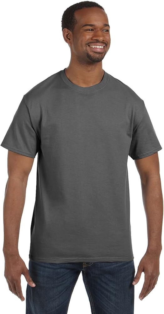 Hanes Mens Tagless 100% Cotton T-Shirt, Large, Smoke Grey