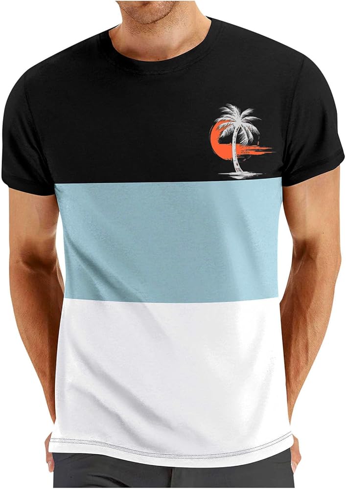 Tshirts Shirts for Men Short Sleeve Graphic Tees Casual Summer Color Block Camping Tops Round Neck Basic Tees