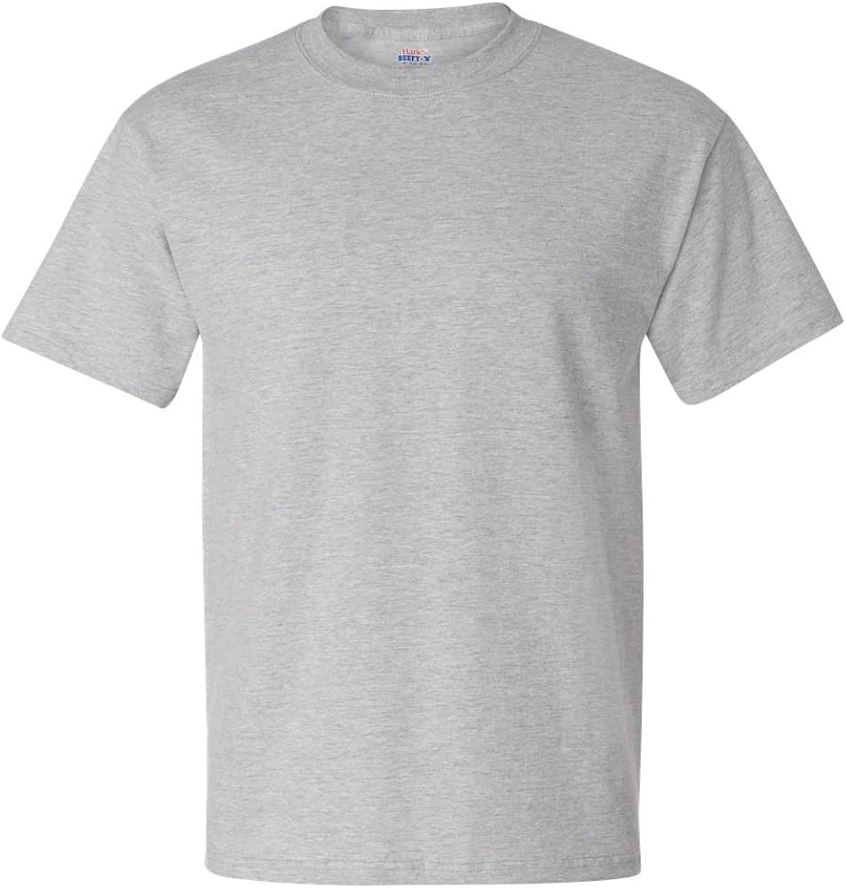 Hanes Men's Beefy-T Tall T-Shirt_Light Steel_LT