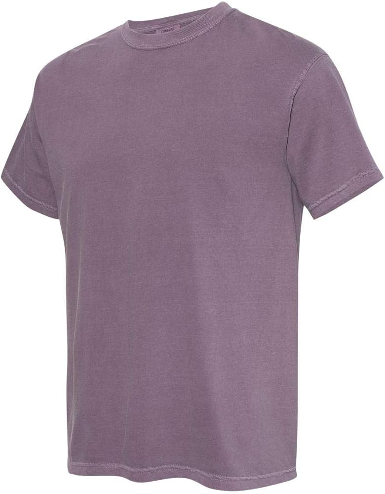 Comfort Colors Men's Adult Short Sleeve Tee, Style 1717 (Medium, Wine)