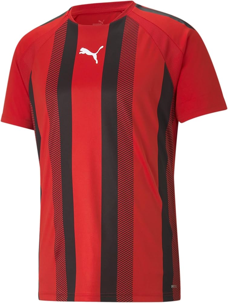 PUMA Men's Teamliga Striped Jersey