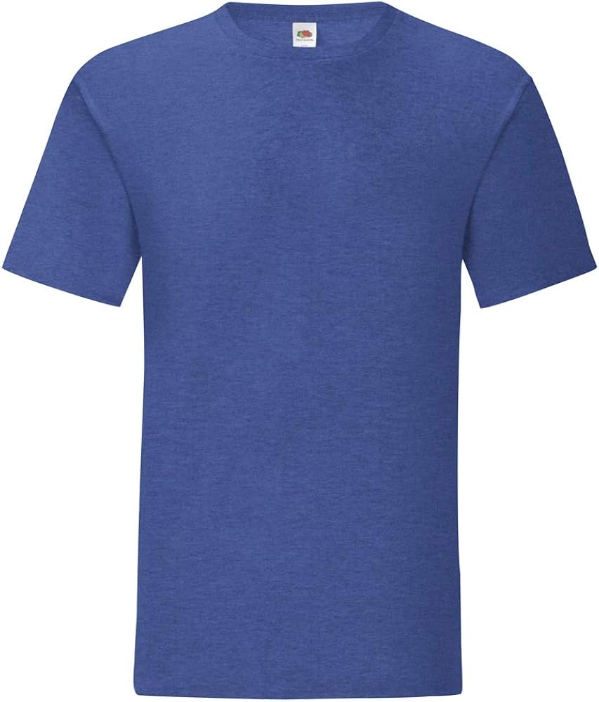 Fruit of the Loom Mens Iconic T-Shirt (L) (Heather Royal)