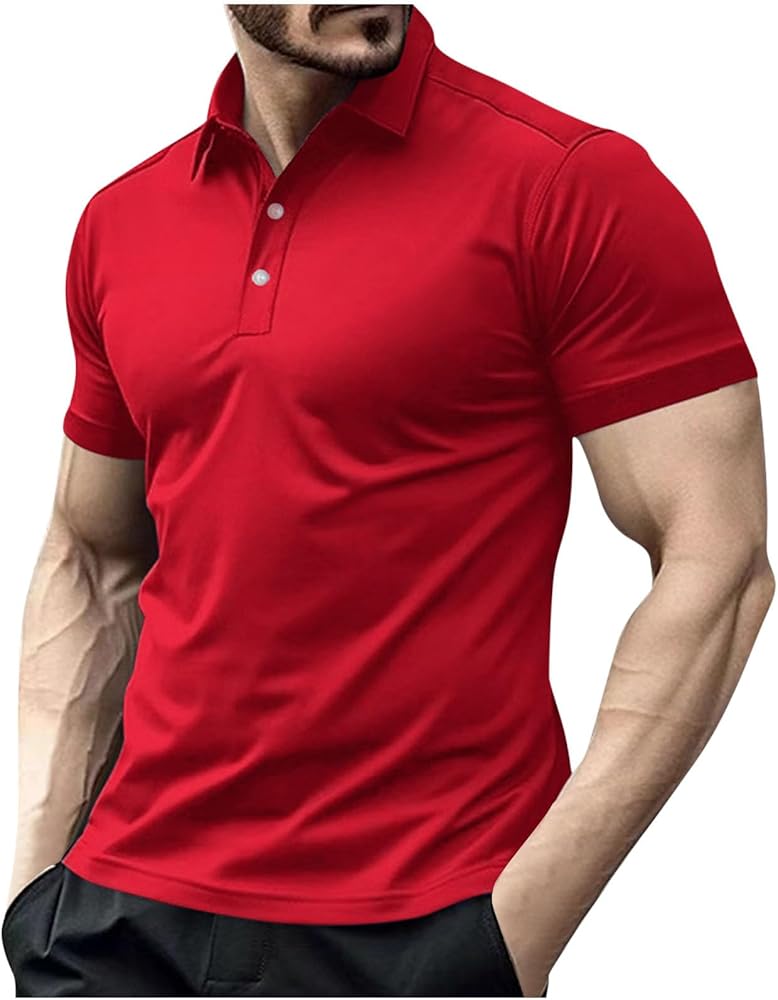 Casual Polo Shirts for Men Summer Holiday Gym Athletic Comfy Dry Fit Moisture Short Sleeve Tee Shirt Stylish Clothes