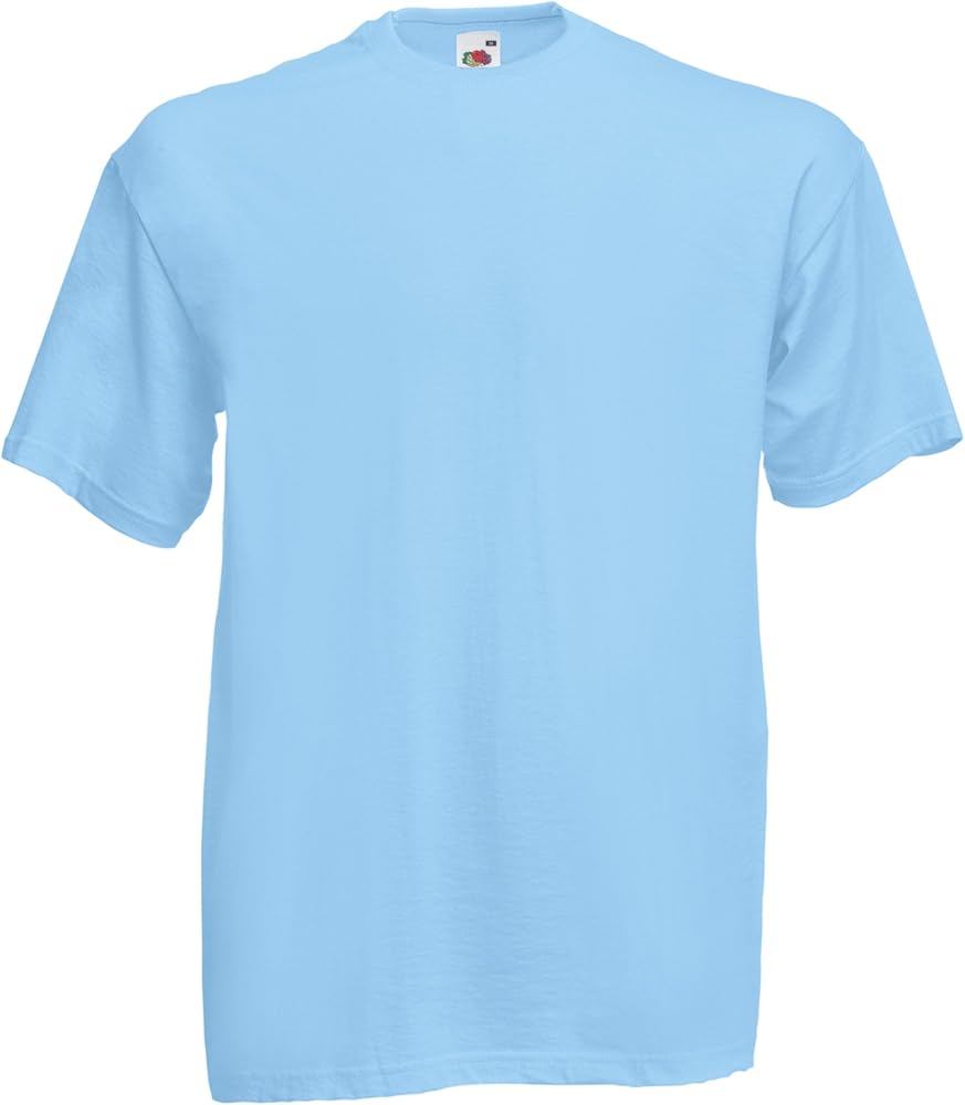 Fruit of the Loom Mens Valueweight Short Sleeve T-Shirt (L) (Sky Blue)