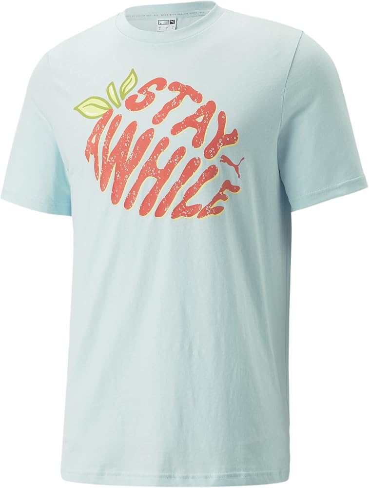 PUMA Men's Summer Graphic Tee 1