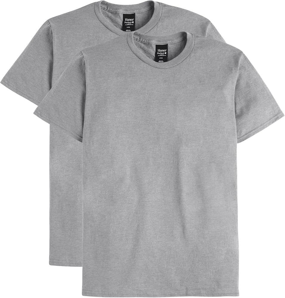 Hanes mens Nano Premium Cotton T-shirt (Pack of 2)