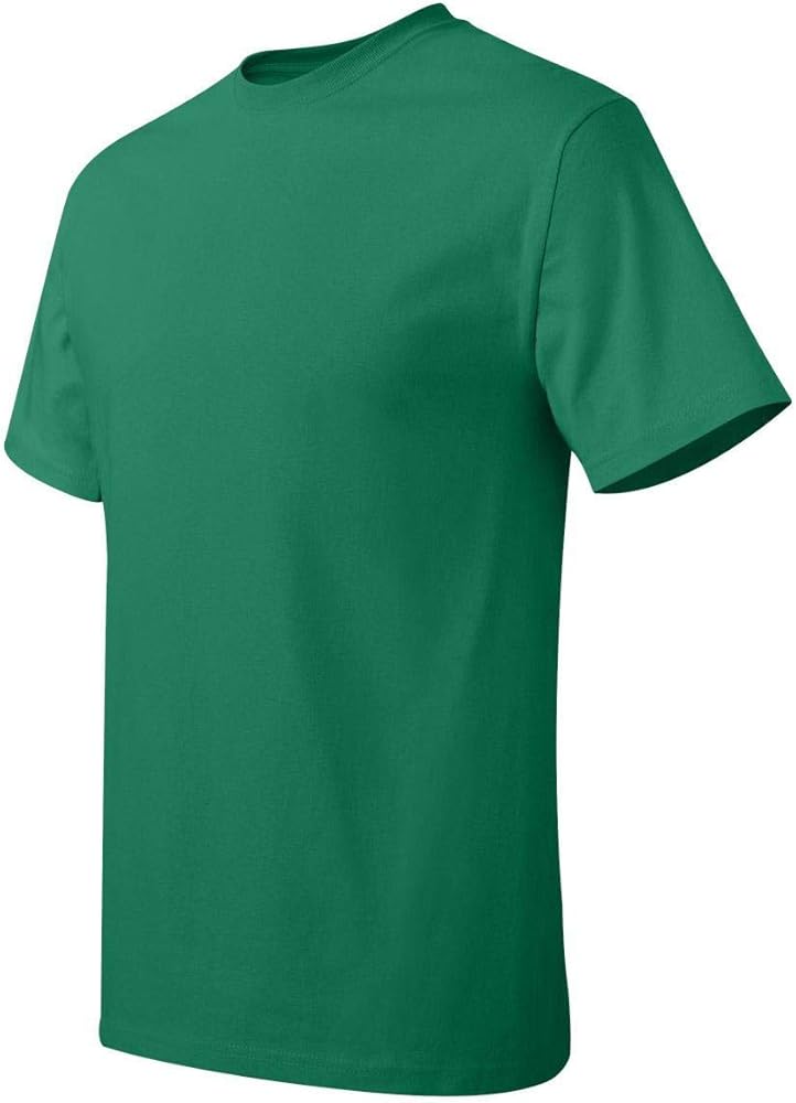 Hanes Mens Tagless 100% Cotton T-Shirt, 2XL, Kelly Green