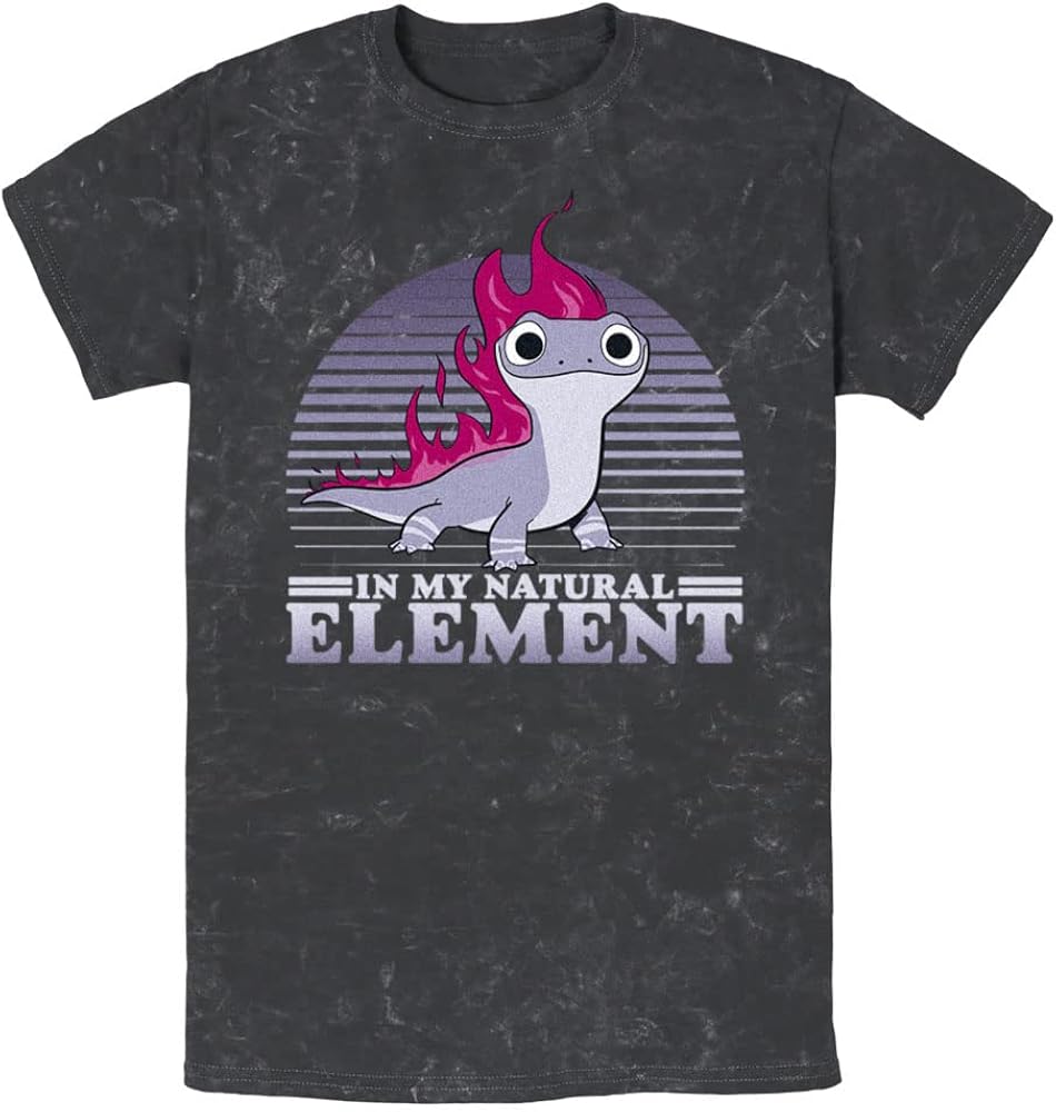 Disney Frozen 2 Element Flames Young Men's Short Sleeve Tee Shirt