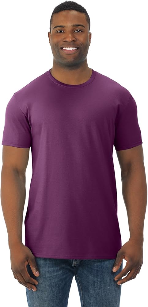 Fruit of the Loom Mens Cotton Jersey Crew T-Shirt (SF45R) Wild Plum 3XL